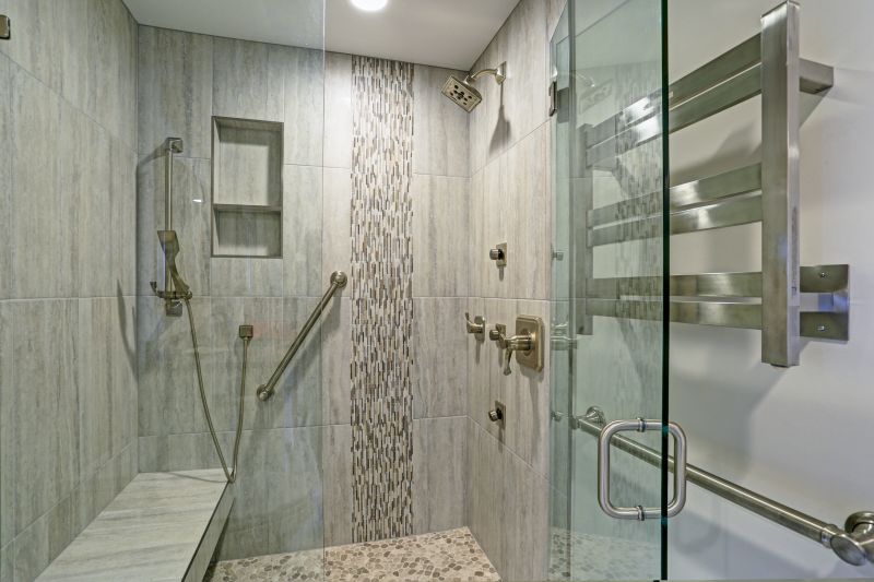 Minimalist Frameless Shower